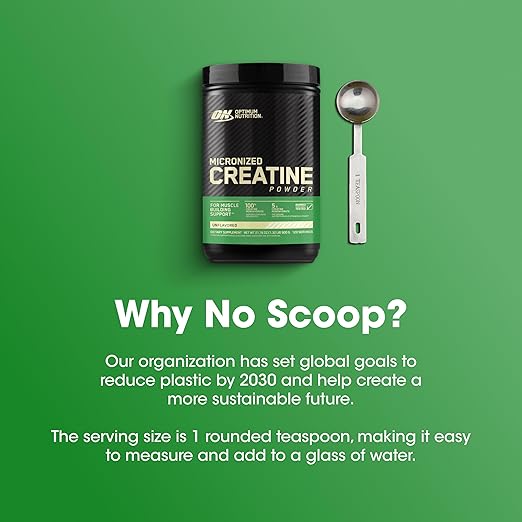 Optimum Nutrition Micronized Creatine Powder Unflavored