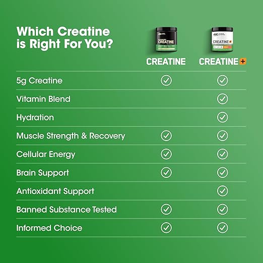 Optimum Nutrition Micronized Creatine Powder Unflavored